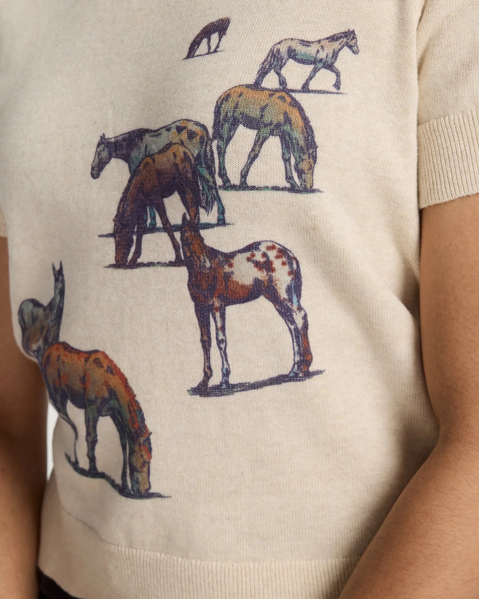 PENDLETON Wild Horse Sweater