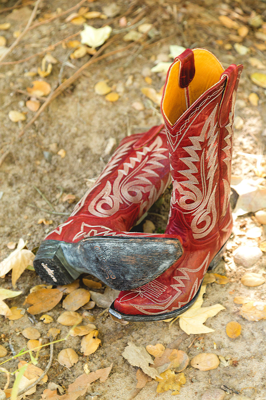 L175-262 Old Gringo