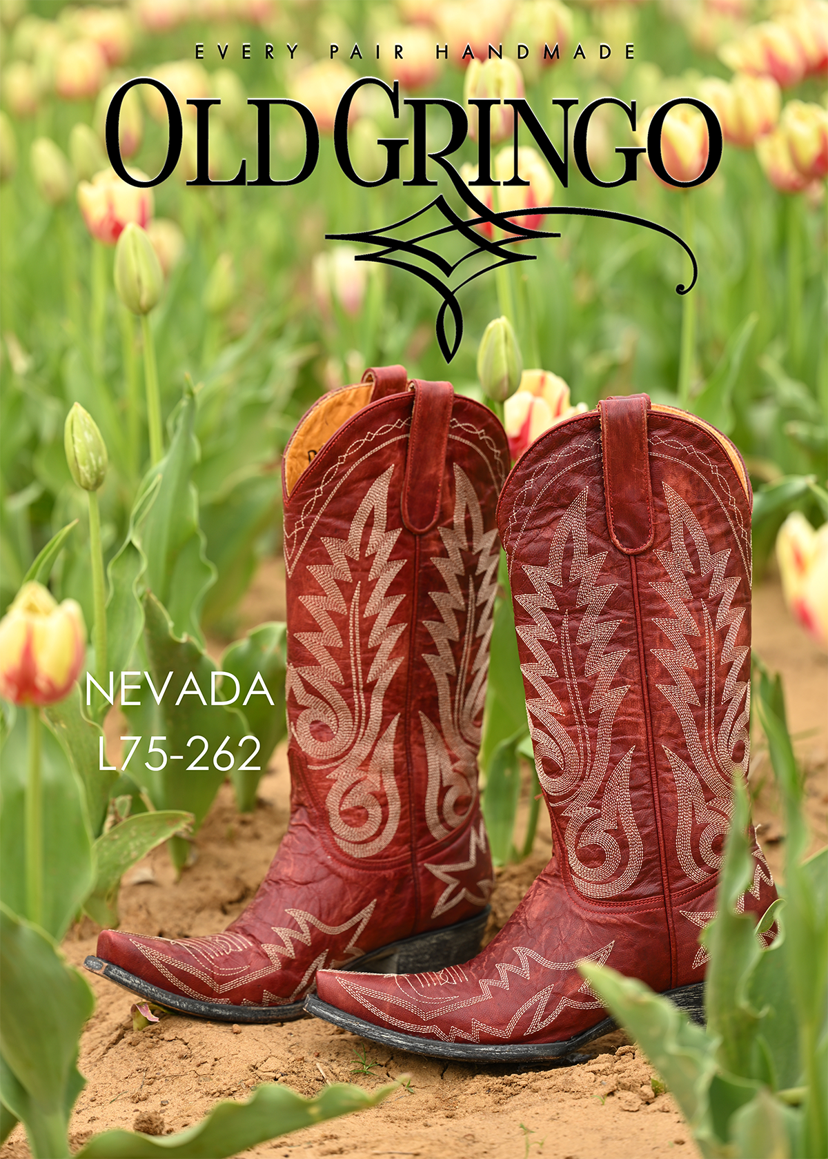 L175-262 Old Gringo